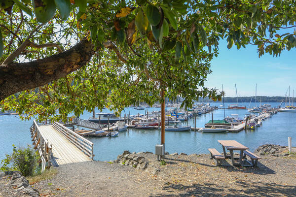 Cayou Quay Marina