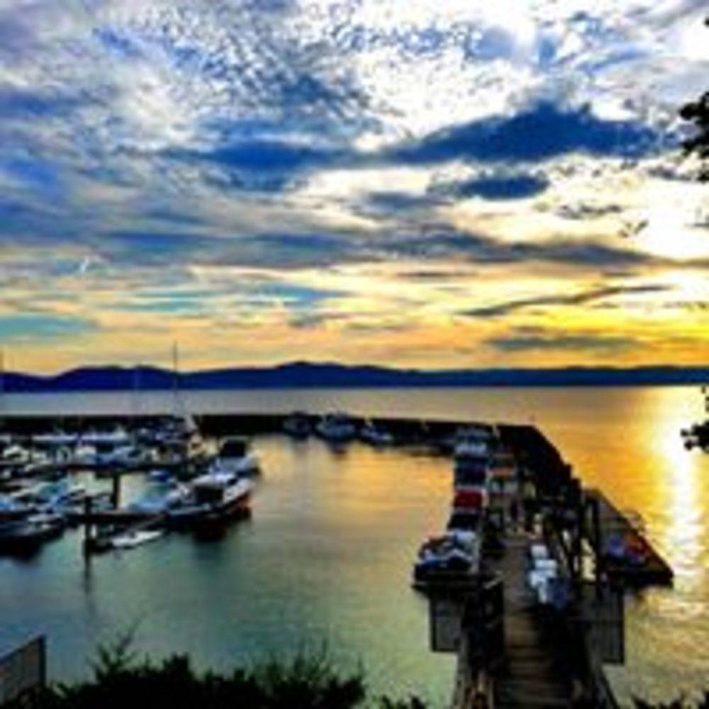 Half Moon Bay Marina slip, dock, mooring reservations Dockwa