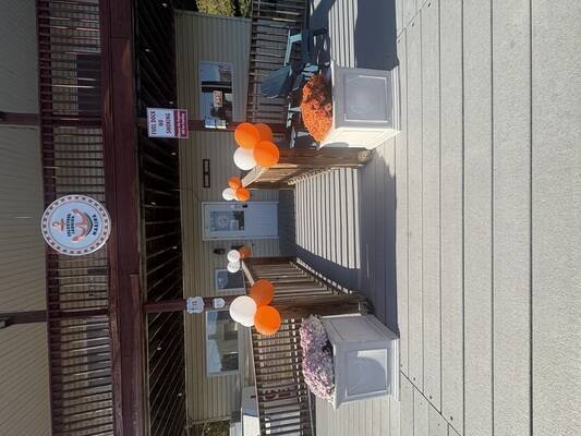 Volunteer Landing Marina