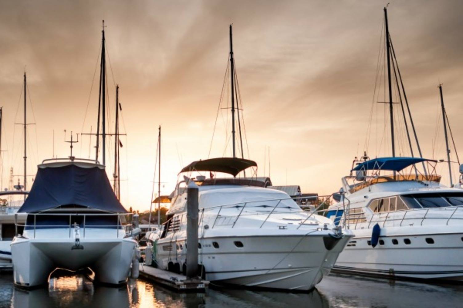 Palm Beach Yacht Club Marina Slip Dock Mooring Reservations Dockwa Palm Beach Yacht Club Marina