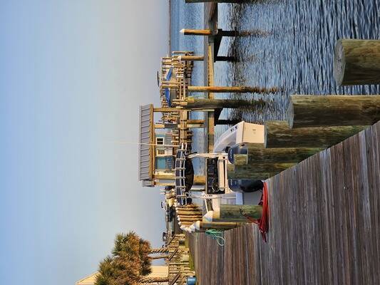 Dauphin Island Marina