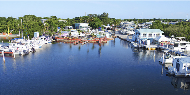 Mangrove Marina