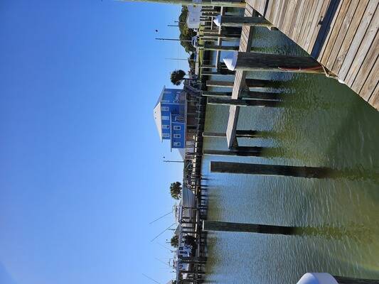 Dauphin Island Marina