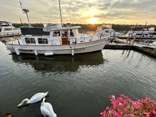Coeymans Landing Marina
