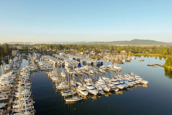 Van Isle Marina