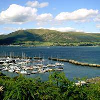 Carlingford Marina