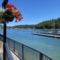 Thetis Island Marina & Pub