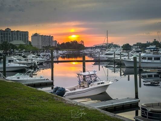 Barefoot Marina