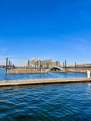 Harbor Point South Marina