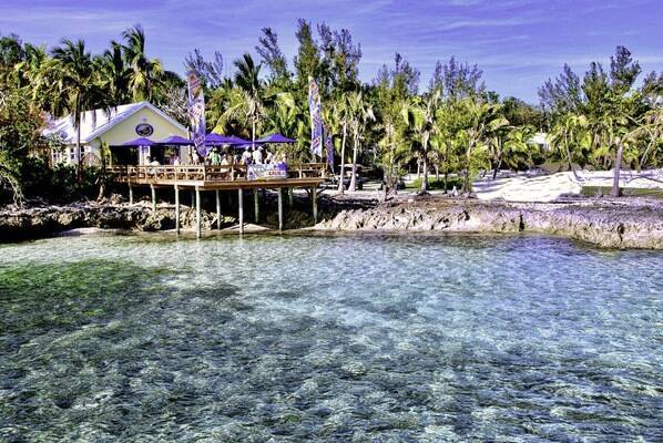Bluff House Resort and Marina