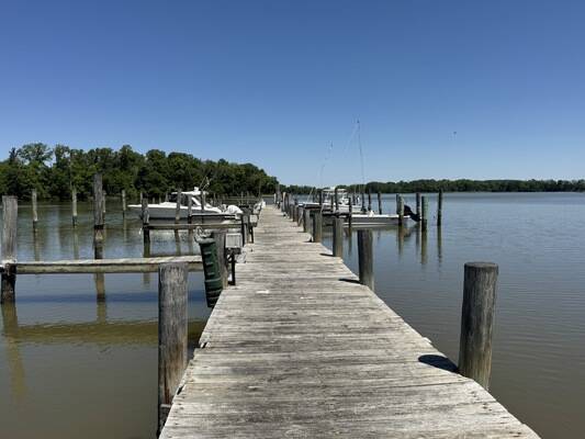 Chester River Marina at Kennersley Point