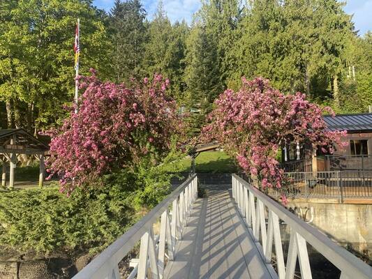 Thetis Island Marina & Pub