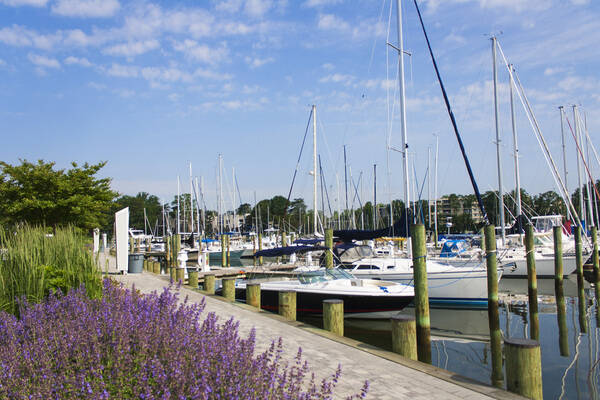 Bert Jabin's Yacht Yard