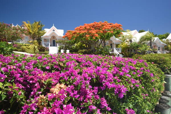 Hope Town Inn & Marina