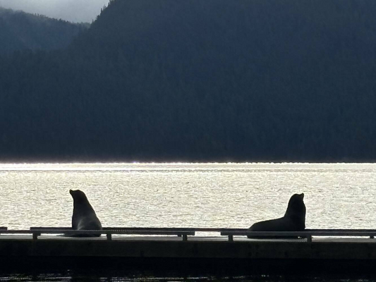 Toba Wilderness Marina