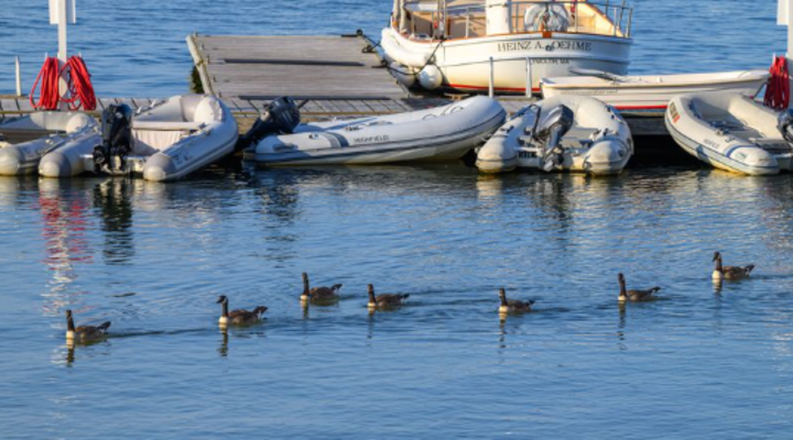 Plymouth Yacht Club