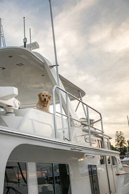 South Annapolis Yacht Centre