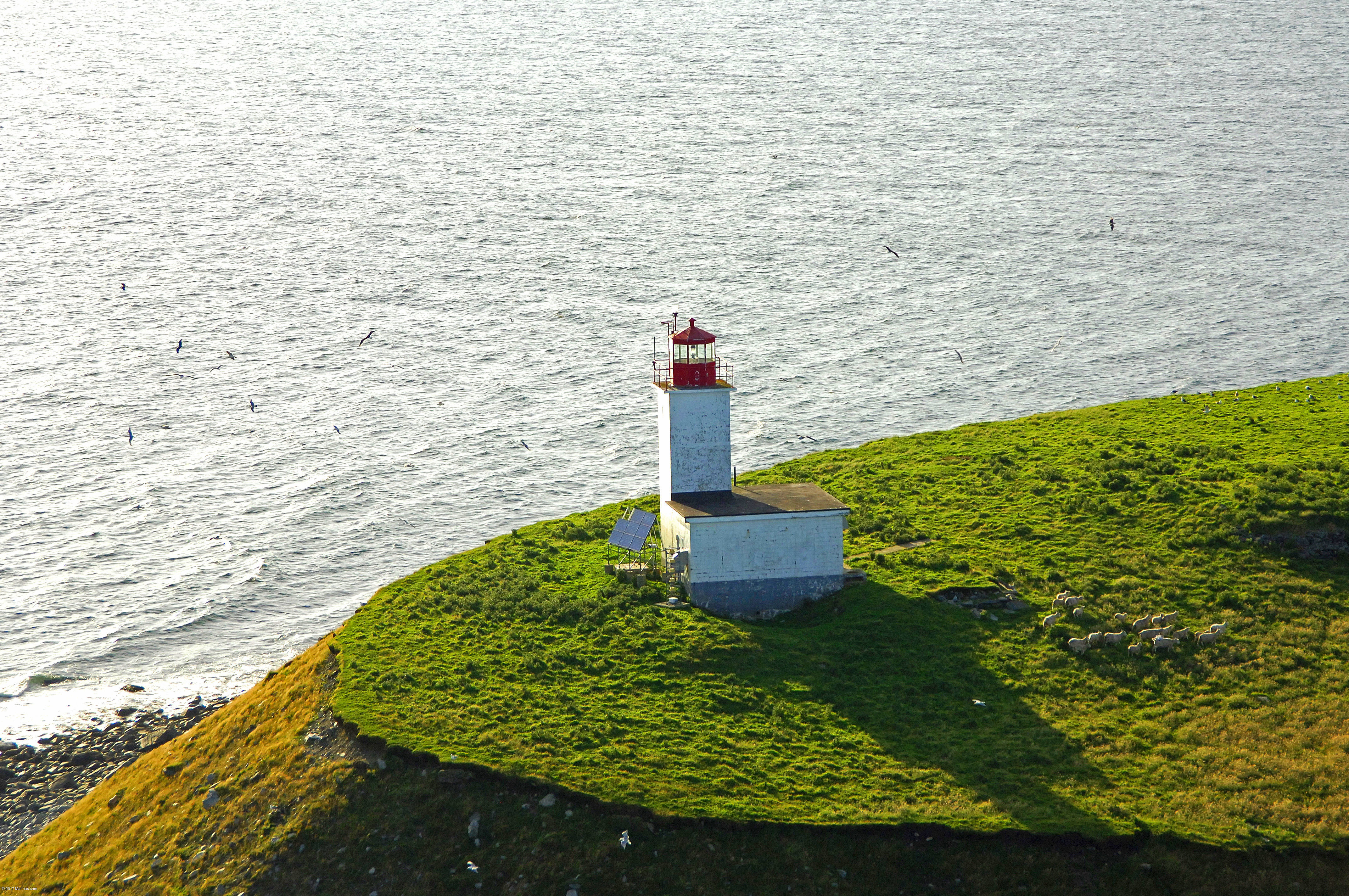 Whitehead Island Lighthouse in Pubnico, NS, Canada lighthouse Reviews