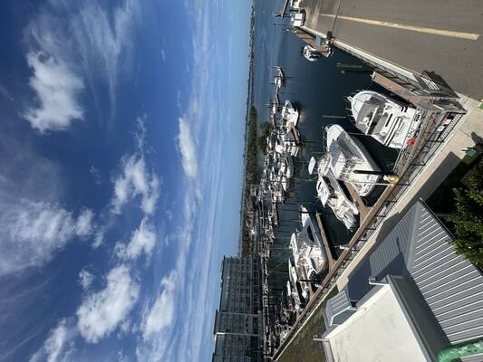 Safe Harbor Pier 77
