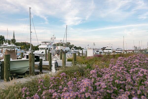 South Annapolis Yacht Centre