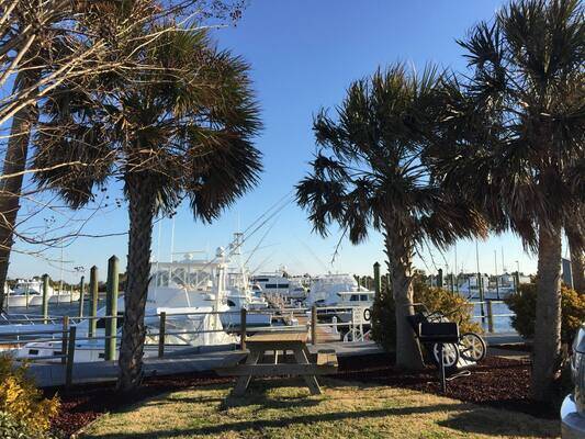 Morehead City Yacht Basin
