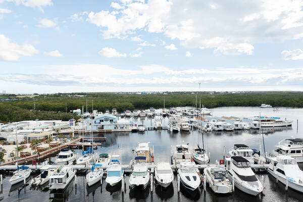 Mangrove Marina