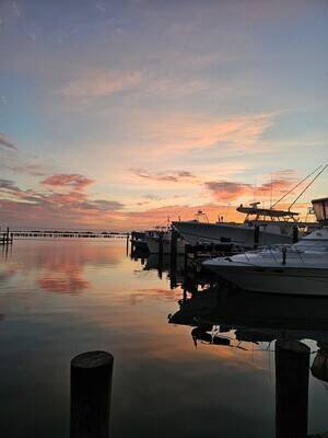 Dauphin Island Marina