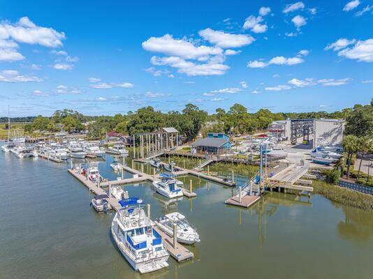 Wilmington Island Marina