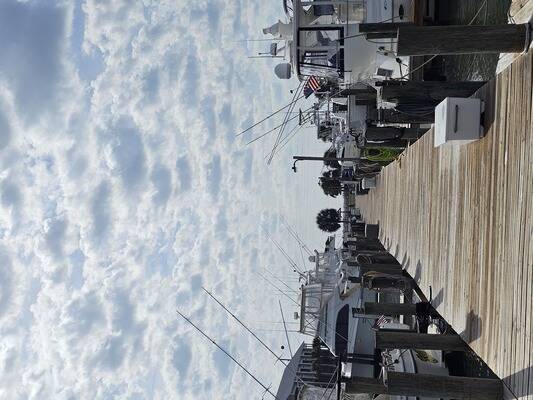 Dauphin Island Marina