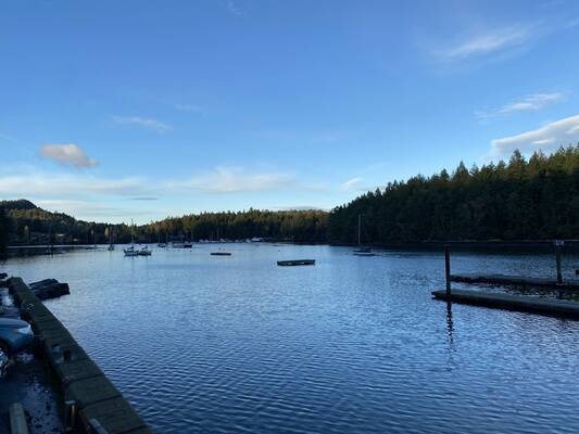 Thetis Island Marina & Pub
