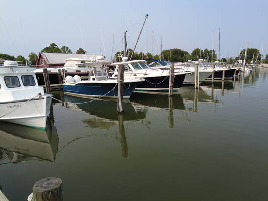 DiMillo's Oxford