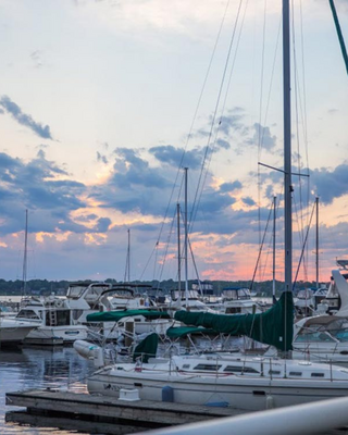 Terrace Point Marina