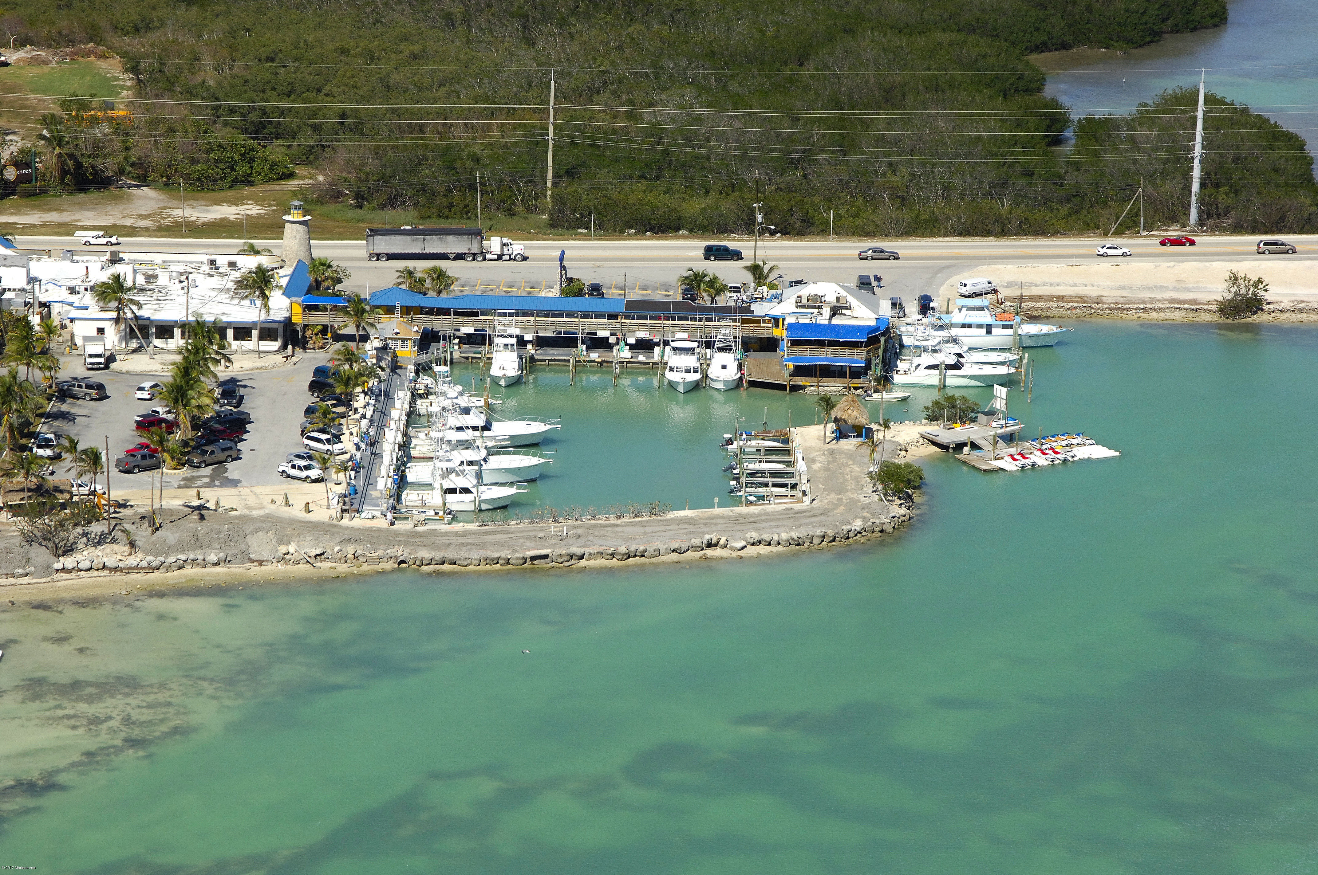 Whale Harbor Marina in Islamorada, FL, United States Marina Reviews