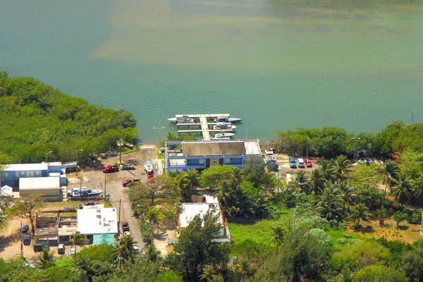 Forces United for Rapid Action