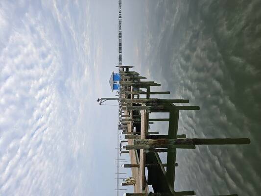 Dauphin Island Marina