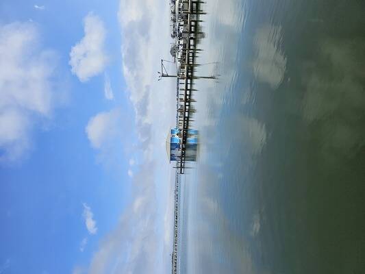 Dauphin Island Marina