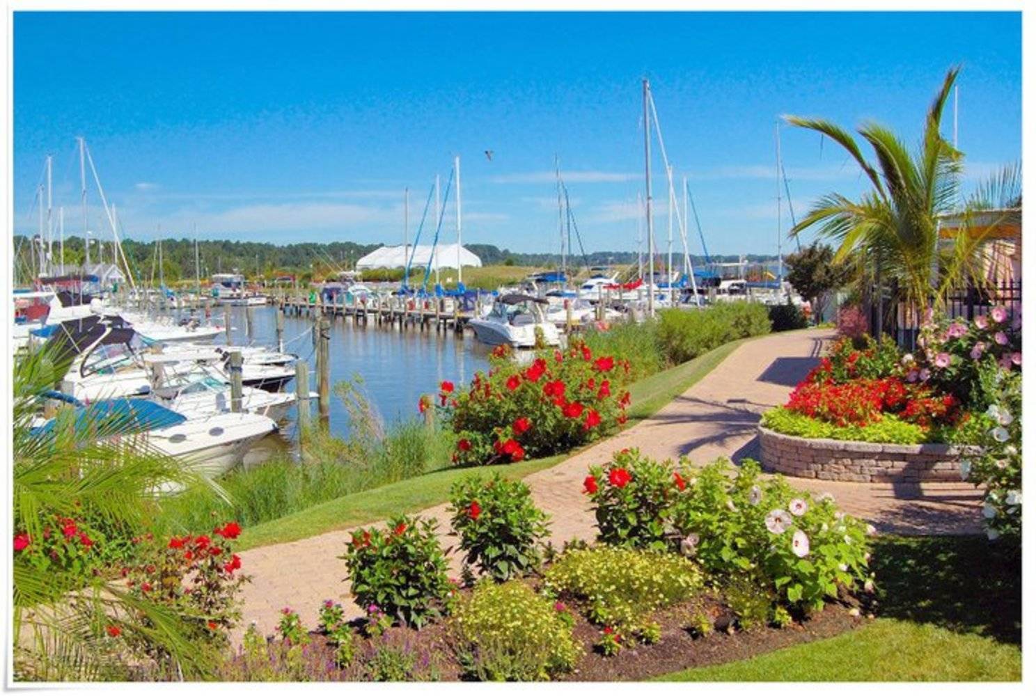 Herrington Harbour South slip, dock, mooring reservations Dockwa