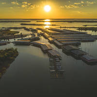 Safe Harbor Pier 121 