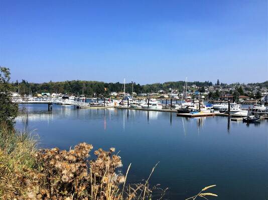 Driftwood Key Club Marina