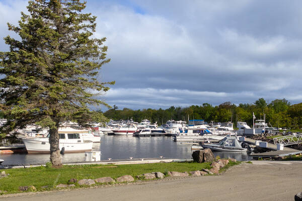 South Bay Cove Marina
