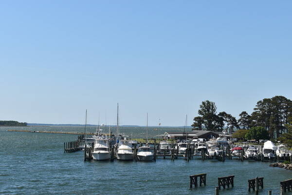 Kent Island Yacht Club
