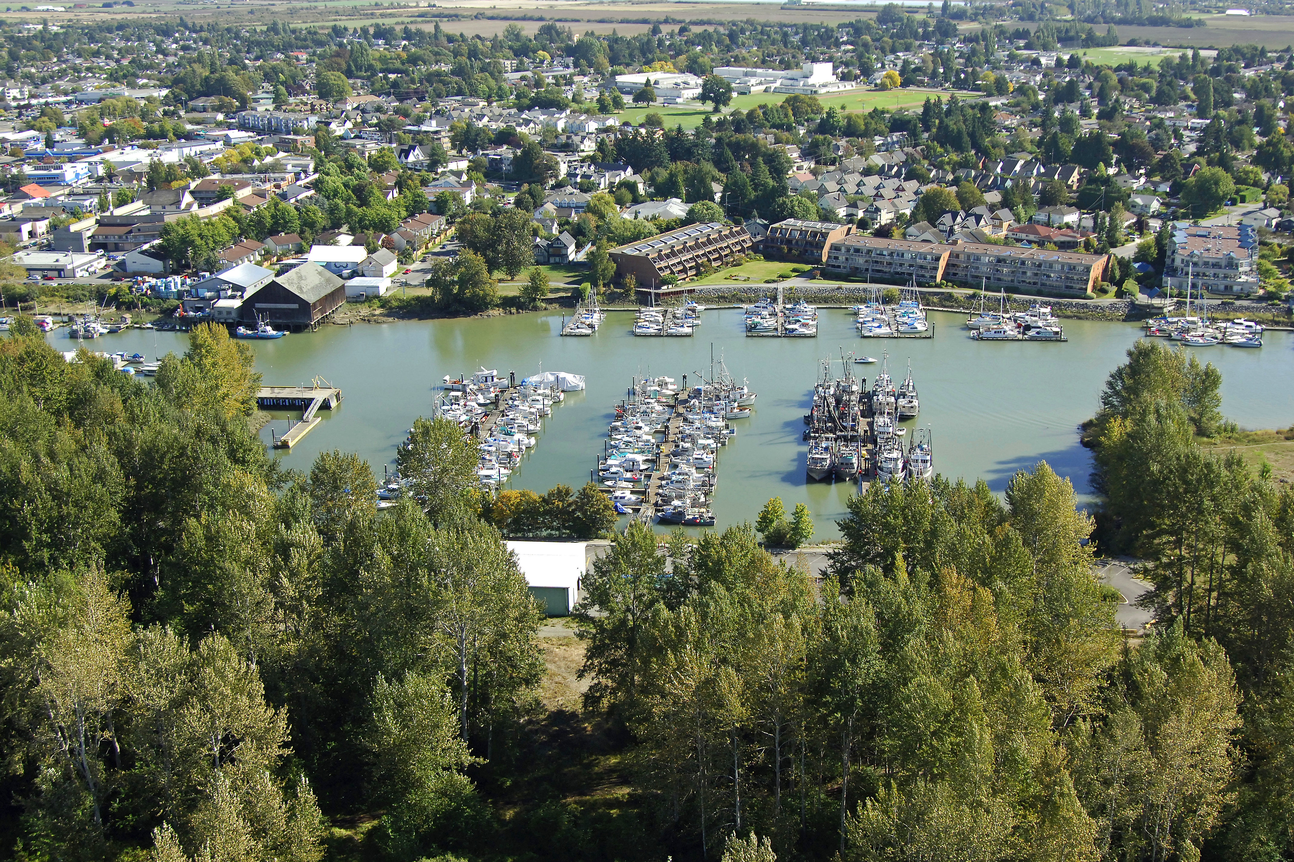 Ladner Harbour Authority In Delta BC Canada Marina Reviews Phone 