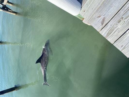 Beach Weekend Bahamas
