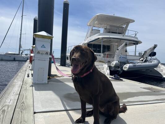 St. Marys Intracoastal Gateway Marina