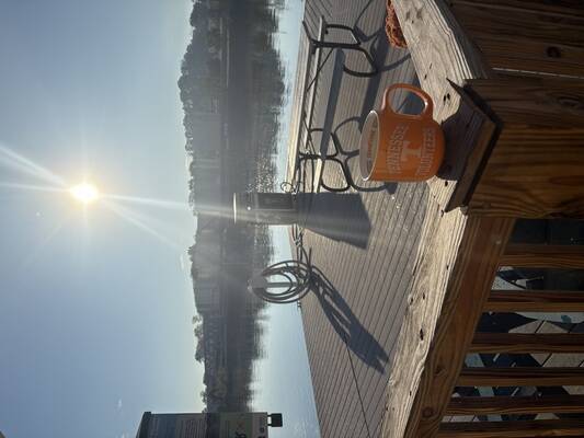 Volunteer Landing Marina