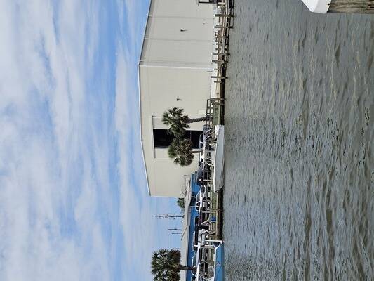 Dauphin Island Marina