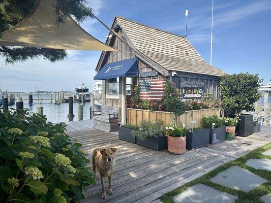 Waterfront Marina