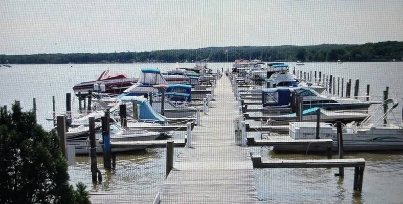 Dolphin Marina at the Cove